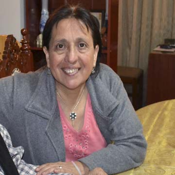 Perfil 6